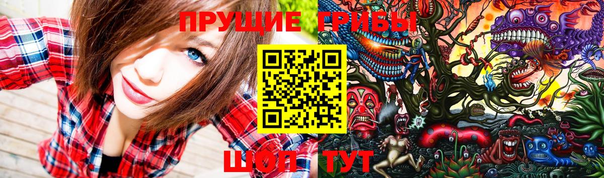 Семилуки  Галлюциногенные грибы Cubensis  Вход с VPN 