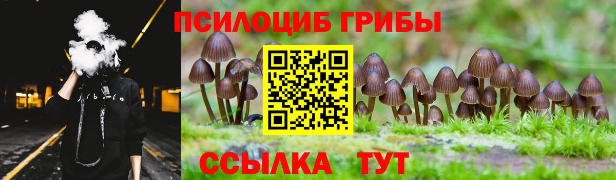 Псилоцибиновые грибы прущие грибы Семилуки